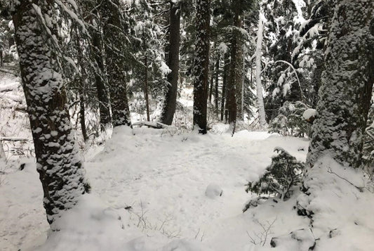 Complete and utter what?