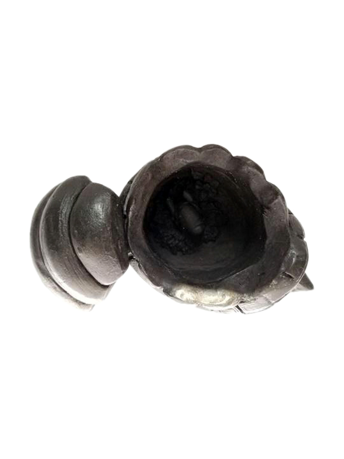 Turtle Jewelry Box Resin