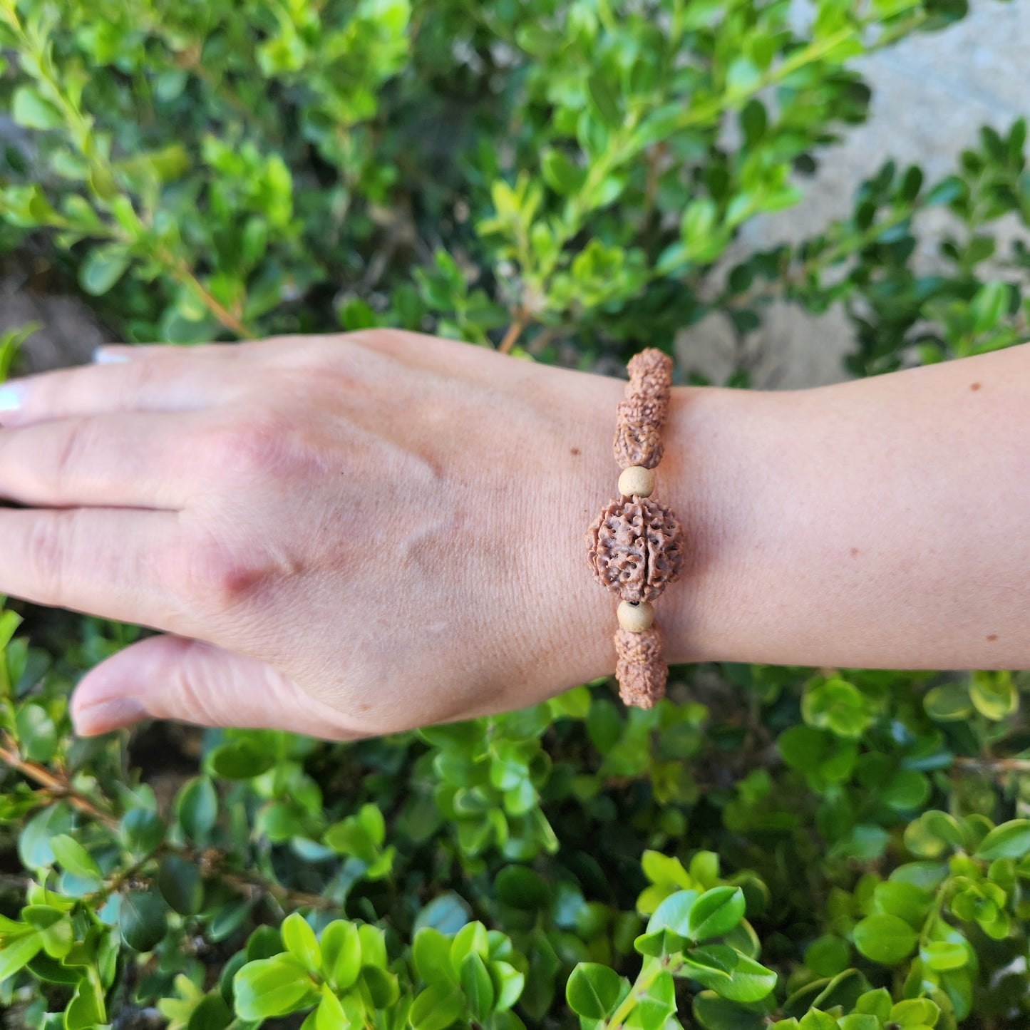 Rudraksha Bracelet Adjustable