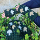 Handmade Knit Beanie Hat Mushroom