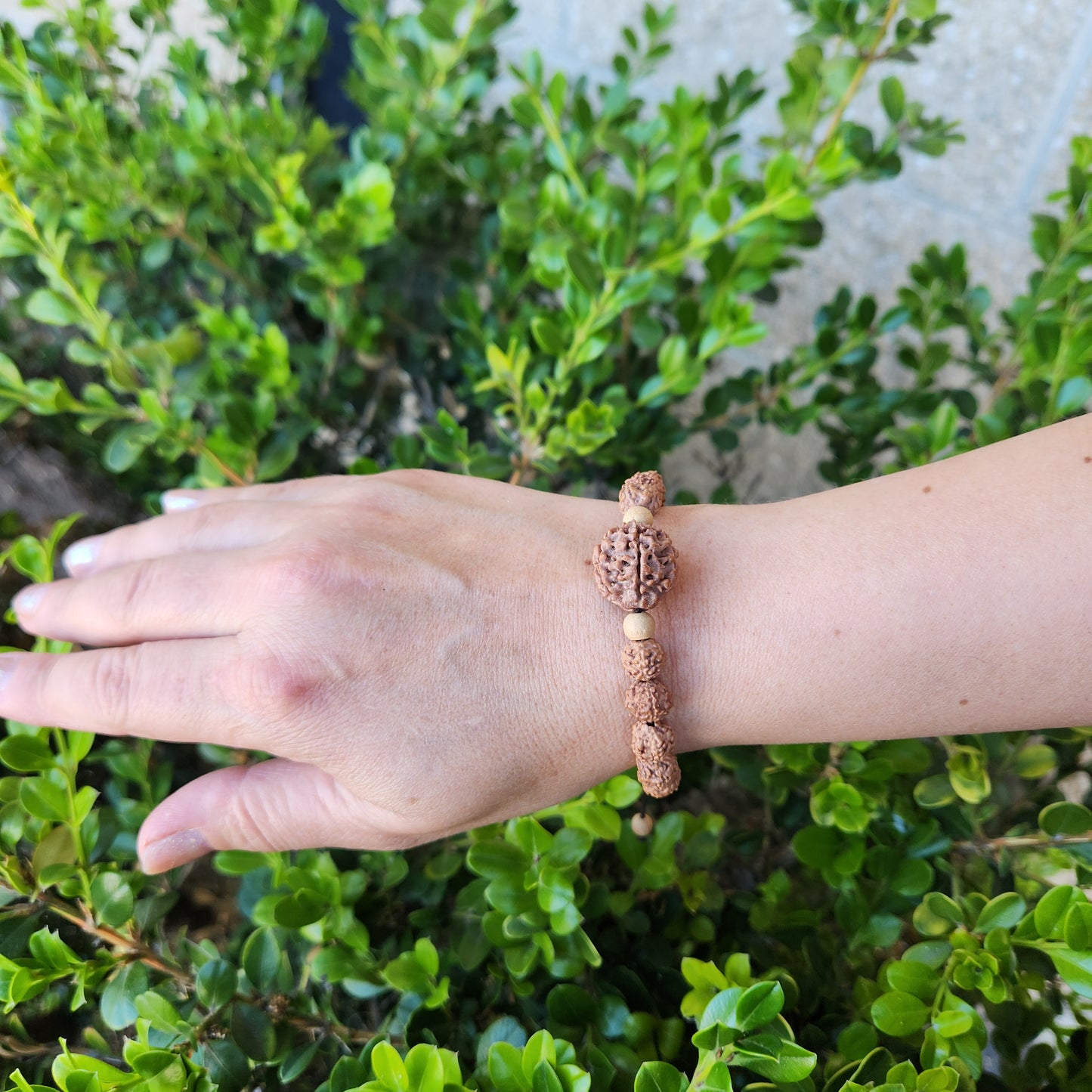 Rudraksha Bracelet Adjustable