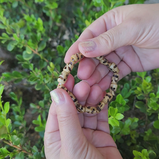 Hand Carved Skull Bone Bracelet